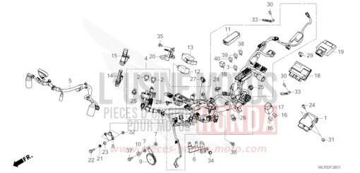 FAISCEAU DES FILS (2) CB500XAT de 2026